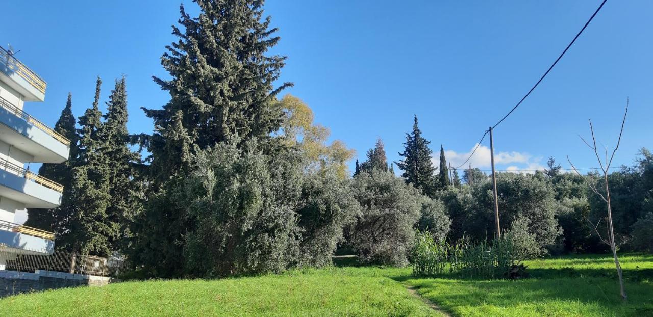 Όμορφο Studio Στην Πόλη Πάτρα Luaran gambar